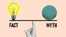 Fact-Myth featured image 230 x 130