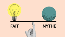 Fact-Myth featured image 230 x 130p, FR